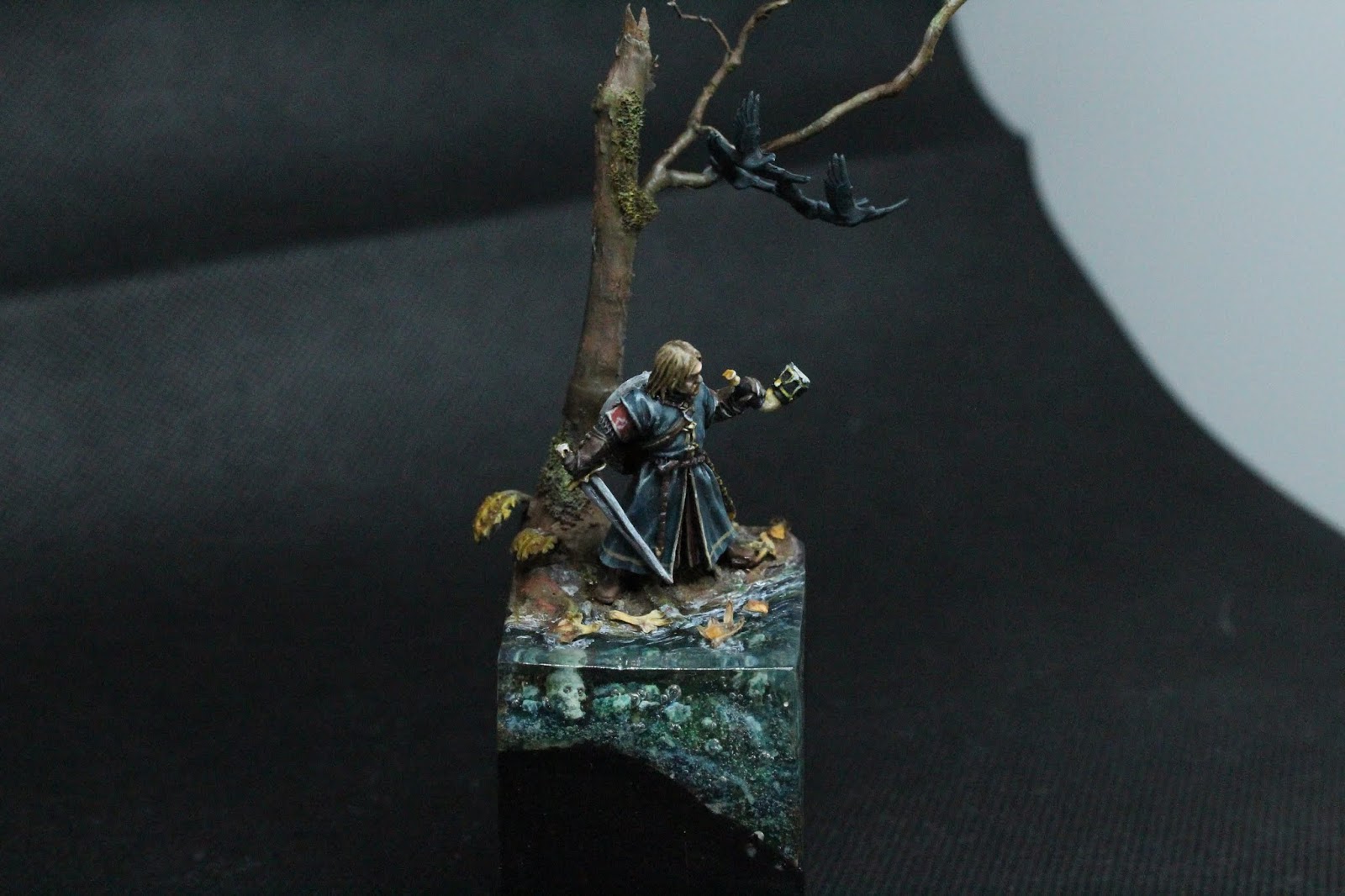 Boromir, le mauvais présage. 20181117190224_IMG_0429