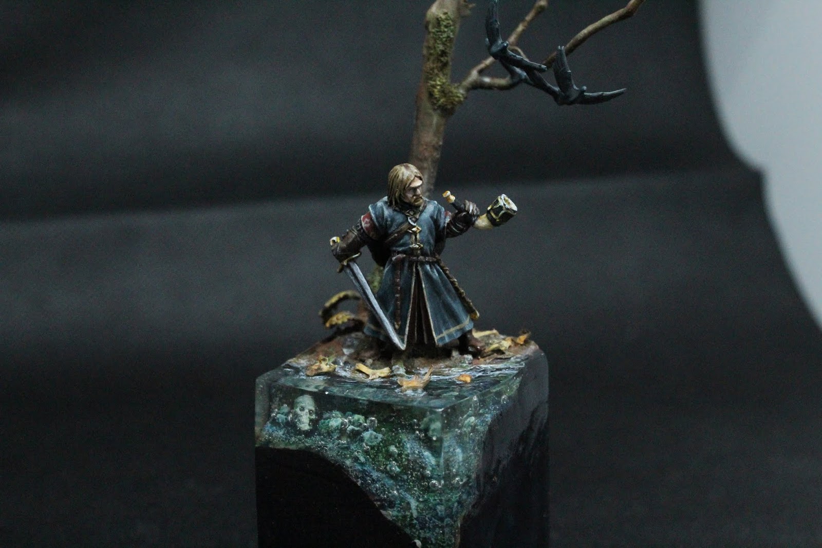 Boromir, le mauvais présage. 20181117190312_IMG_0433