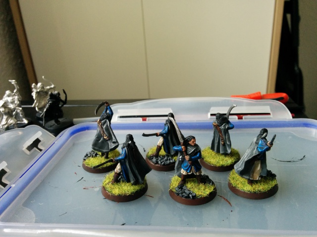 L'Ultime Atelier [Ultime Alliance, Elfes, Numenor] - Page 2 693327IMG20160604173346