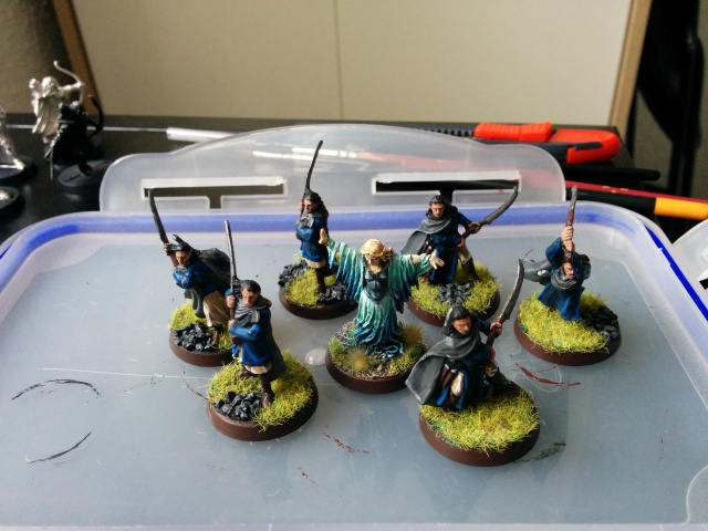 L'Ultime Atelier [Ultime Alliance, Elfes, Numenor] - Page 2 951577IMG20160604173423