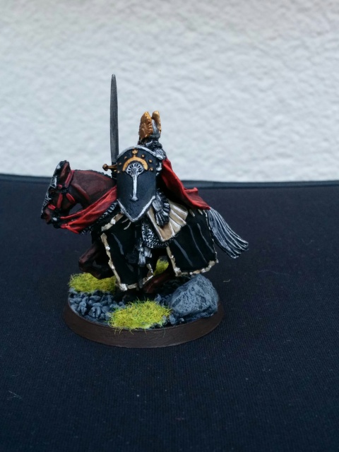 L'Ultime Atelier [Ultime Alliance, Elfes, Numenor] - Page 2 306528IMG20150821174140