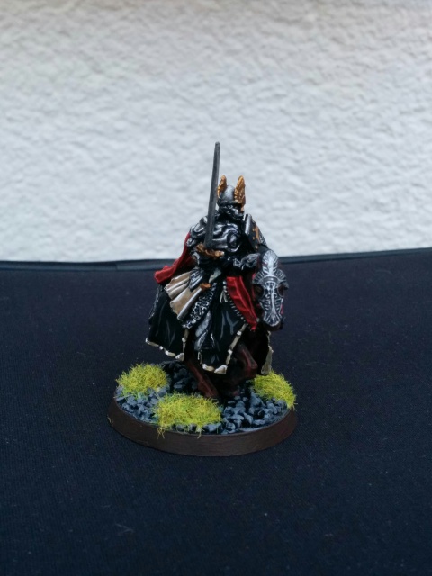 L'Ultime Atelier [Ultime Alliance, Elfes, Numenor] - Page 2 372286IMG20150821174132