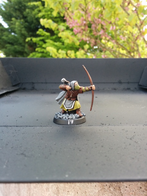 L'Ultime Atelier [Ultime Alliance, Elfes, Numenor] - Page 2 620297IMG20150508180453