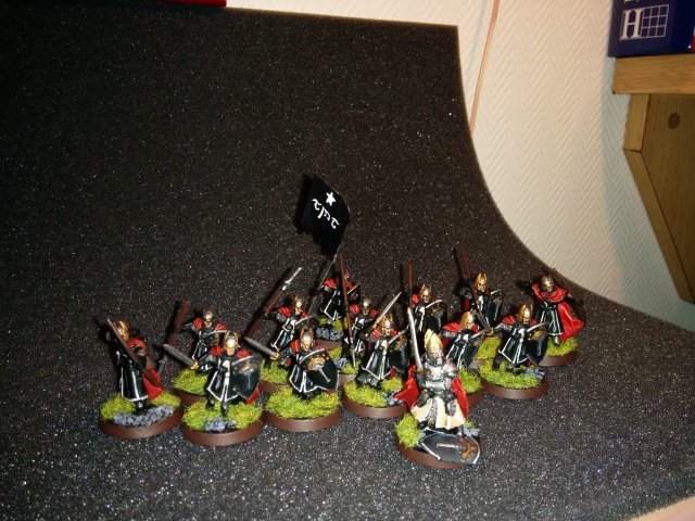 L'Ultime Atelier [Ultime Alliance, Elfes, Numenor] - Page 2 778501IMG20150406211102