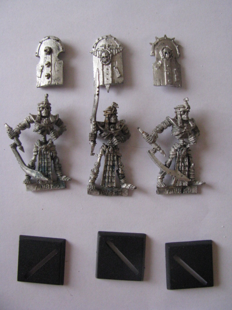 Arche des Âmes Damnées - Roi des Tombes [CONVERSION] Base_g10