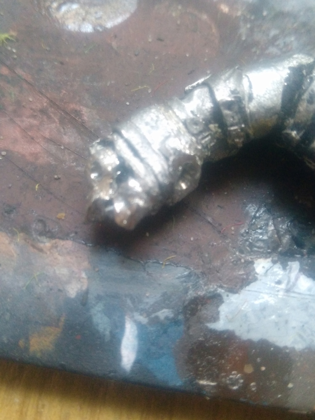 Andrann i ùan - Confirmé - Bruttax le Troll ! Img_2012