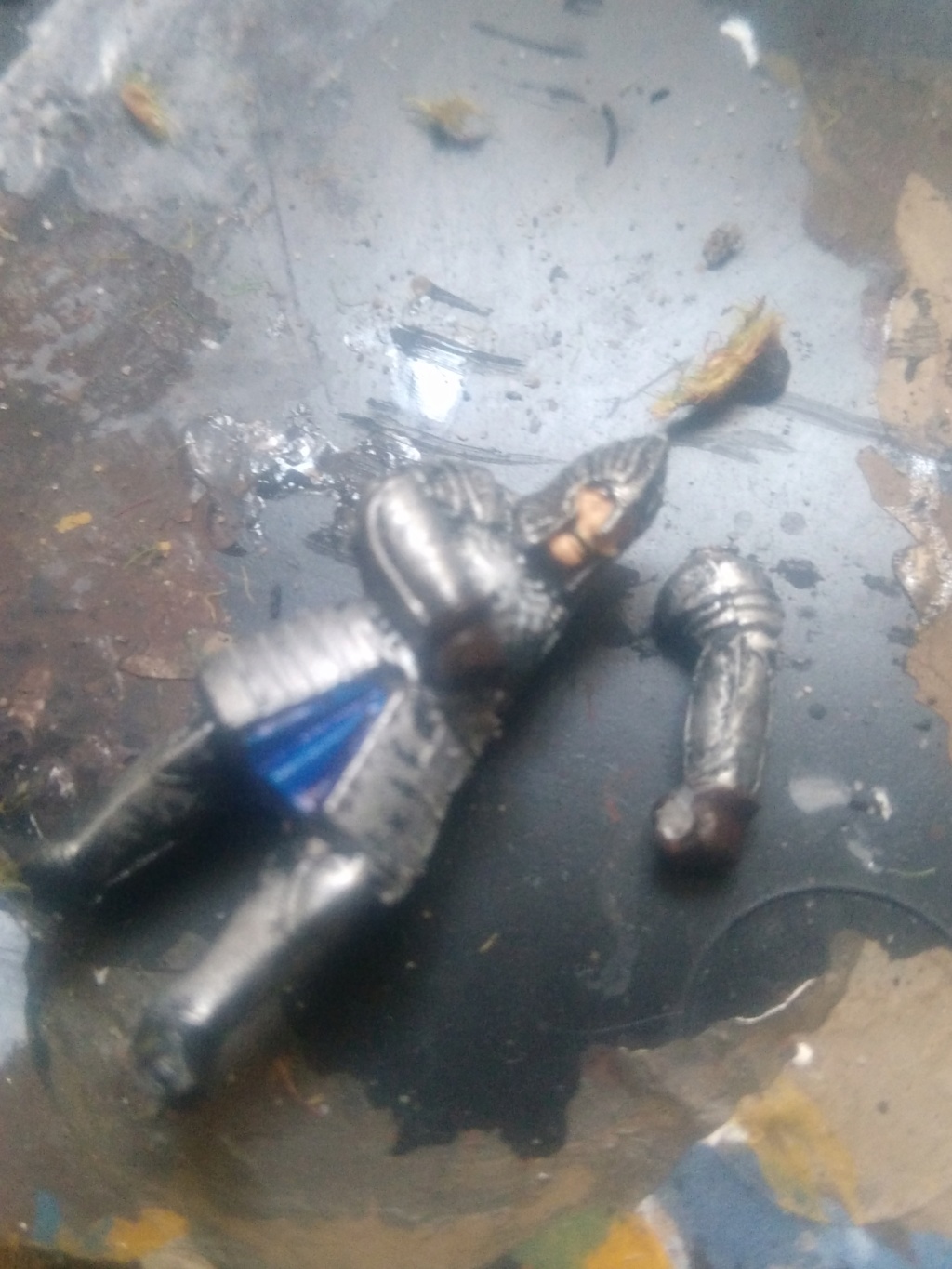 Andrann i ùan - Confirmé - Bruttax le Troll ! Img_2015