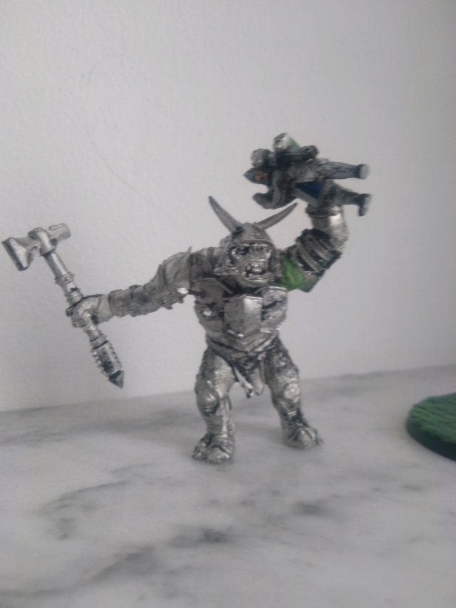 Andrann i ùan - Confirmé - Bruttax le Troll ! Img_2018