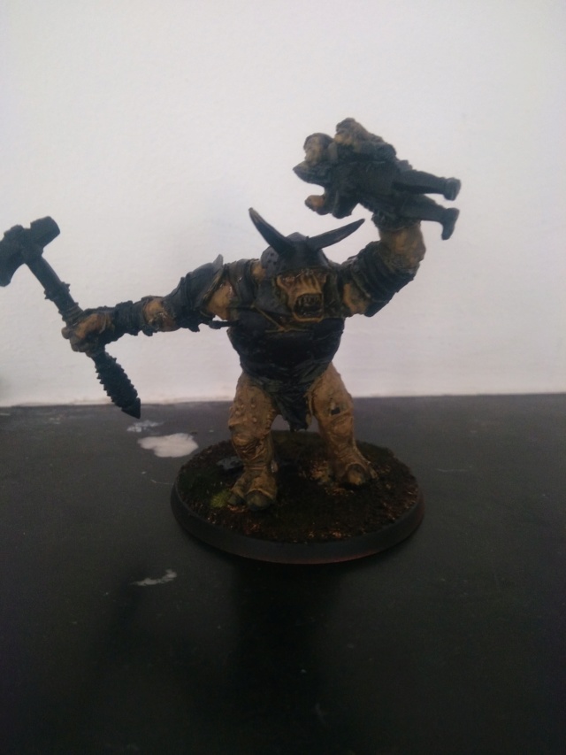 Andrann i ùan - Confirmé - Bruttax le Troll ! Img_2021