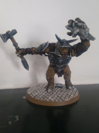 Andrann i ùan - Confirmé - Bruttax le Troll ! Img_2023