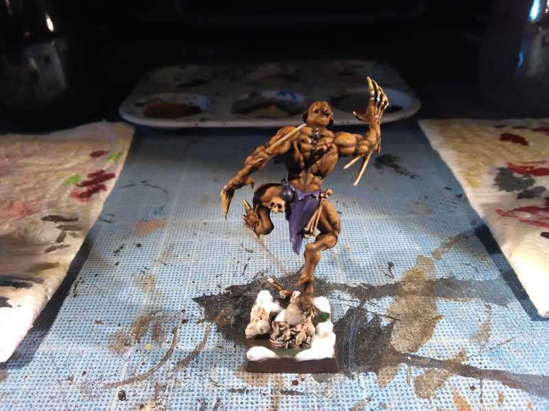 Mon armée des Comtes Vampires - Page 2 Img_2074