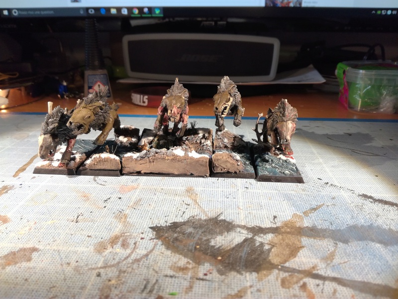 Mon armée des Comtes Vampires - Page 2 Img_2082