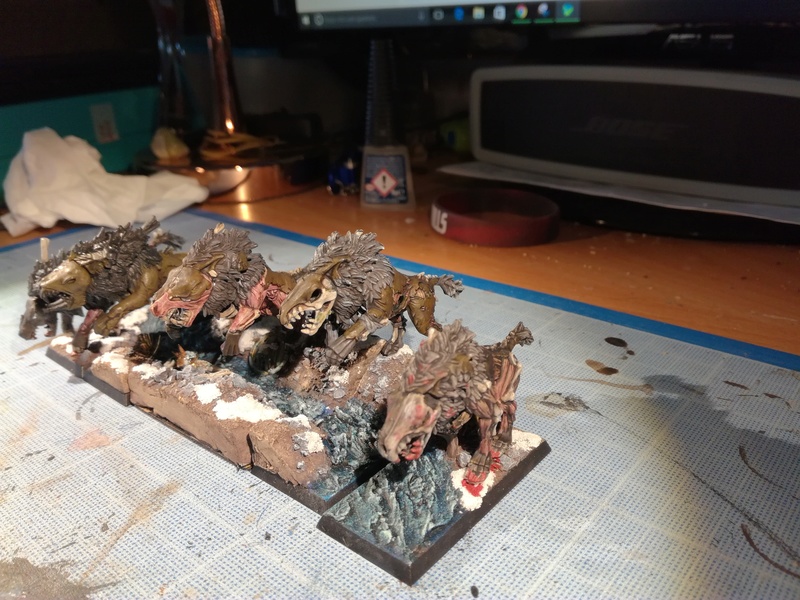 Mon armée des Comtes Vampires - Page 2 Img_2083