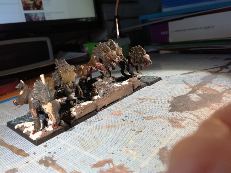 Mon armée des Comtes Vampires - Page 2 Img_2084