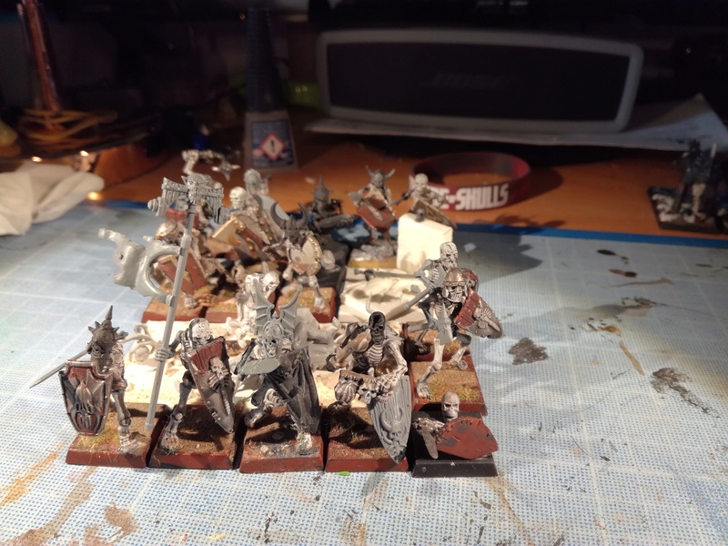 Mon armée des Comtes Vampires - Page 2 Img_2085