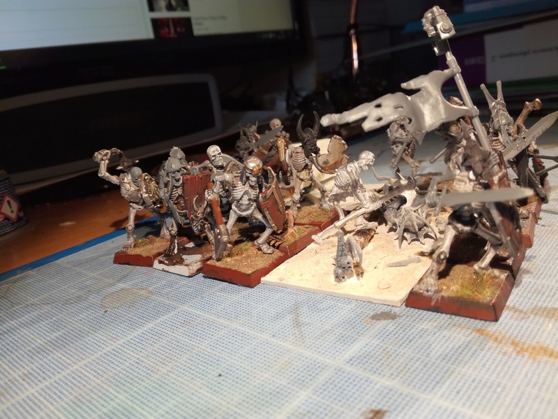 Mon armée des Comtes Vampires - Page 2 Img_2087