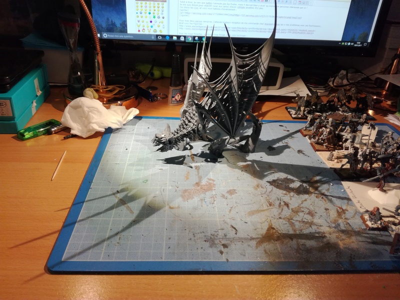 Mon armée des Comtes Vampires - Page 2 Img_2098