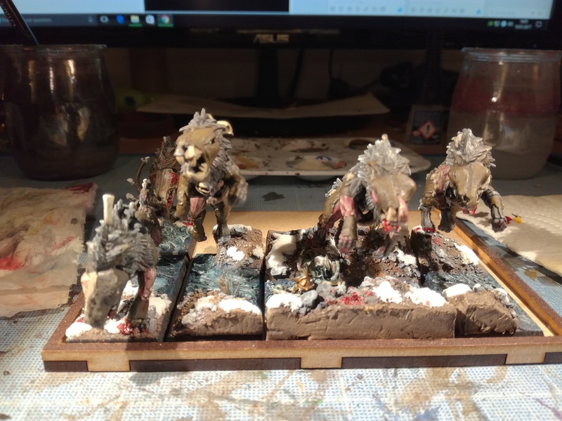 Mon armée des Comtes Vampires - Page 2 Img_2101