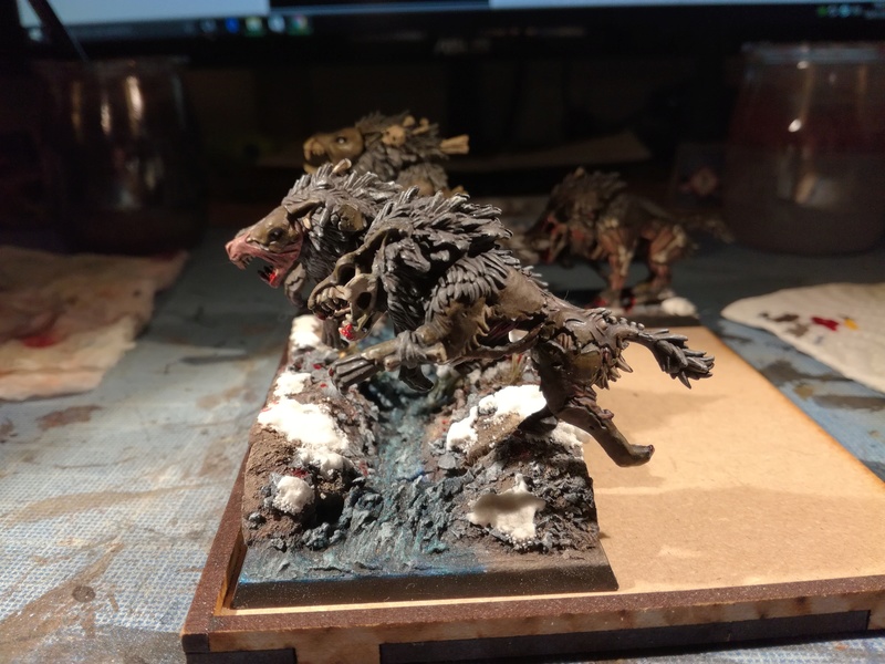 Mon armée des Comtes Vampires - Page 2 Img_2102