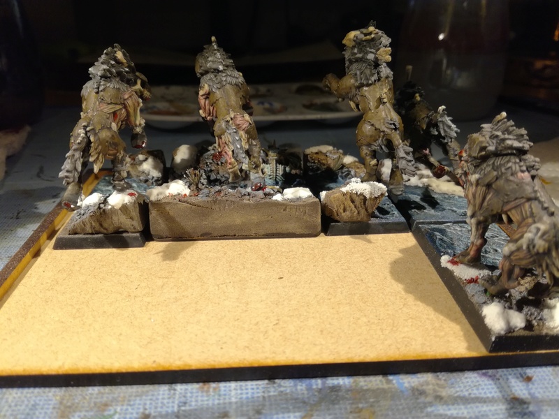 Mon armée des Comtes Vampires - Page 2 Img_2103