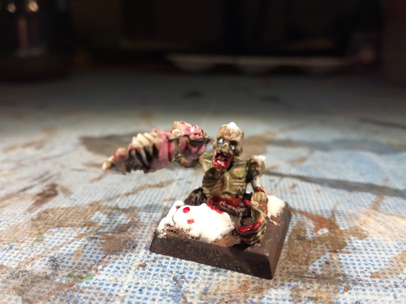 Mon armée des Comtes Vampires - Page 2 Img_2110