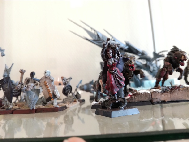 Mon armée des Comtes Vampires - Page 2 Img_2113