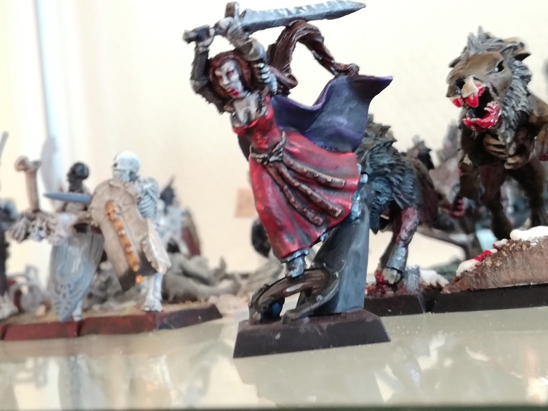 Mon armée des Comtes Vampires - Page 2 Img_2114