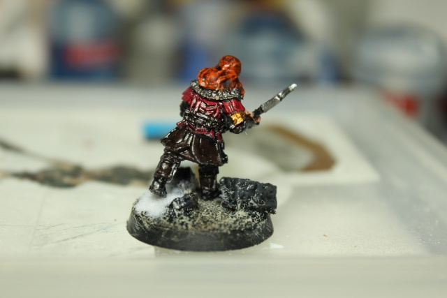 Nori, Gloin & Dwalin en armure [Nains] Img_2011