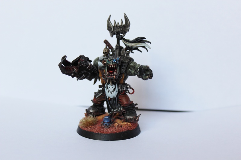 Galerie dadou91 - SM, GI, Ork - Page 6 Img_3119