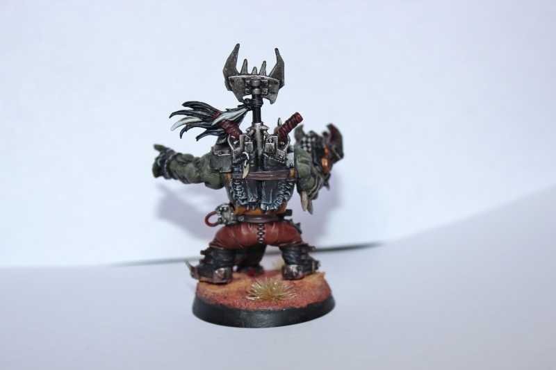 Galerie dadou91 - SM, GI, Ork - Page 6 Img_3121