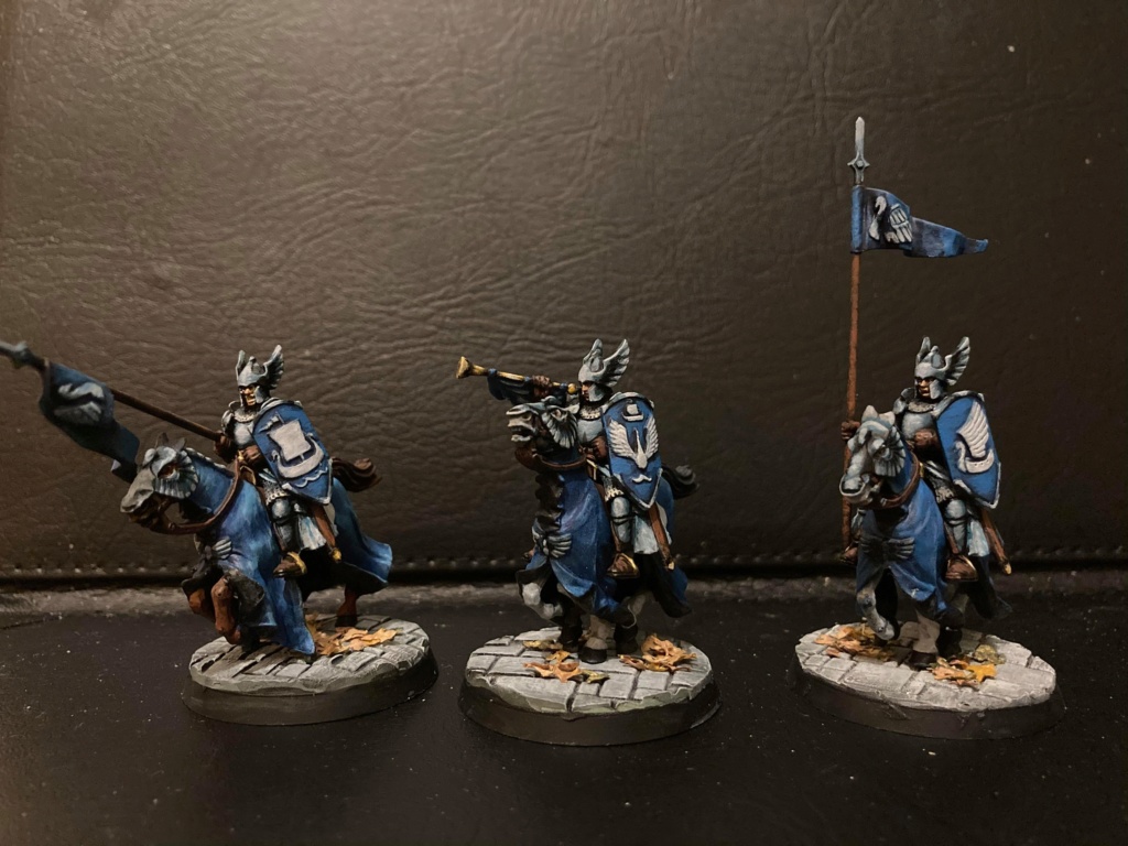 Reprise peinture/ diverse bien C110