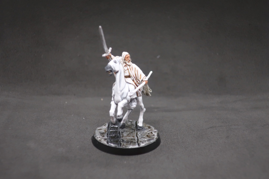 Petite armée de Minas Tirith - Cancun Img_0512