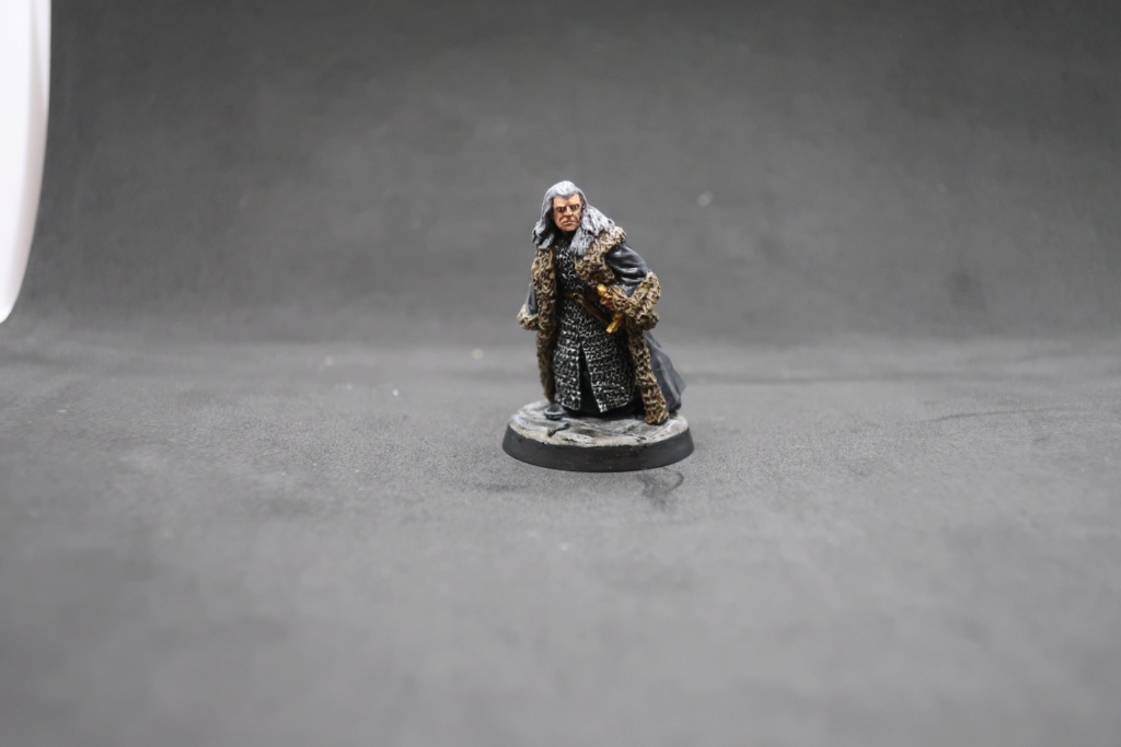 Petite armée de Minas Tirith - Cancun Img_0517