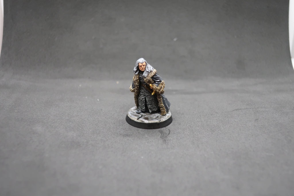 Petite armée de Minas Tirith - Cancun Img_0521