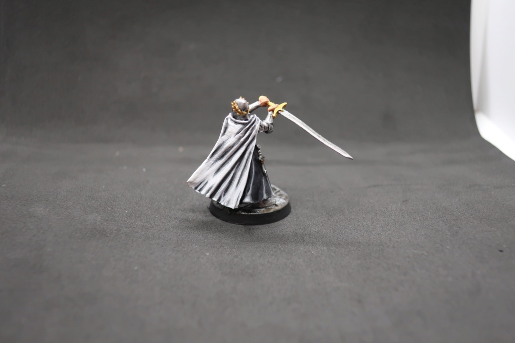 Petite armée de Minas Tirith - Cancun Img_0524