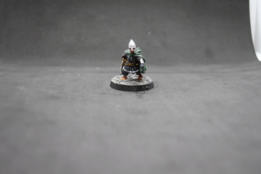 Petite armée de Minas Tirith - Cancun Img_0610