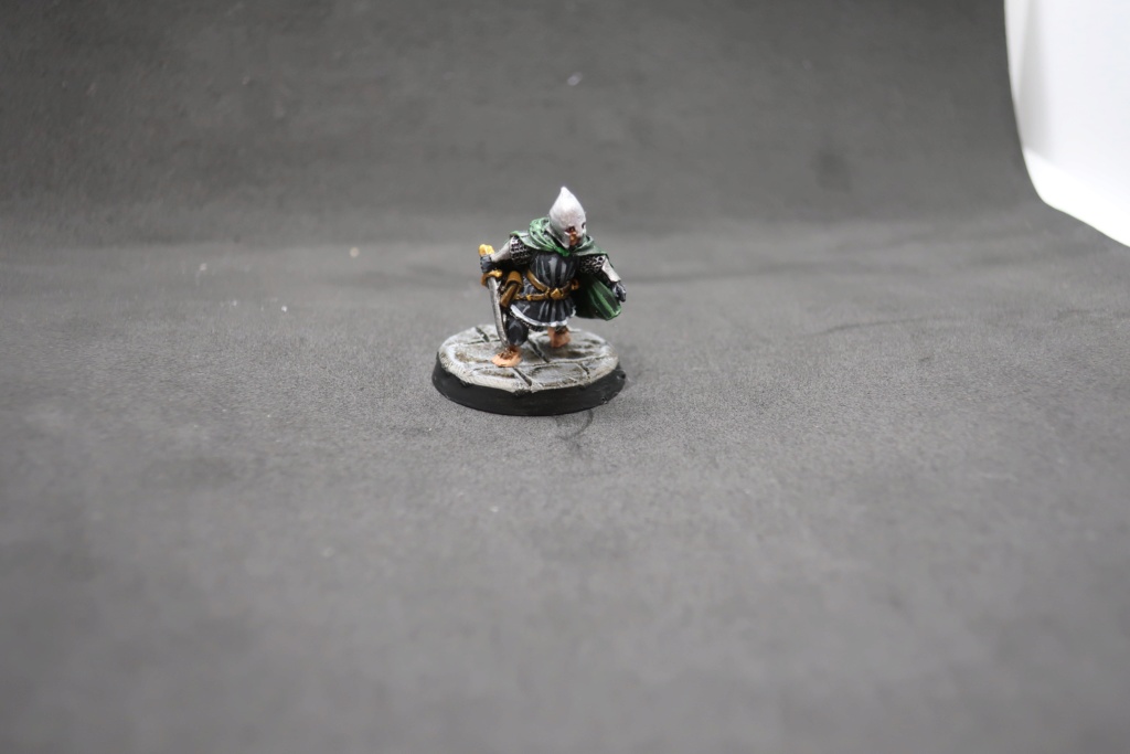 Petite armée de Minas Tirith - Cancun Img_0613