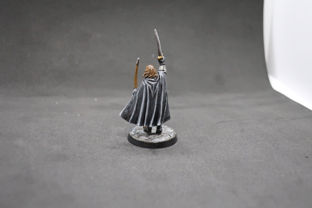 Petite armée de Minas Tirith - Cancun Img_0614