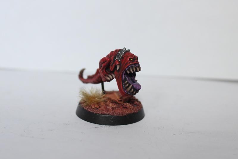 Galerie dadou91 - SM, GI, Ork - Page 5 Img_2411