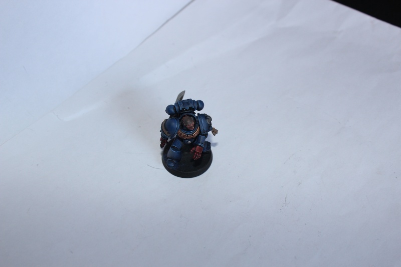 Galerie dadou91 - SM, GI, Ork - Page 5 Img_2715