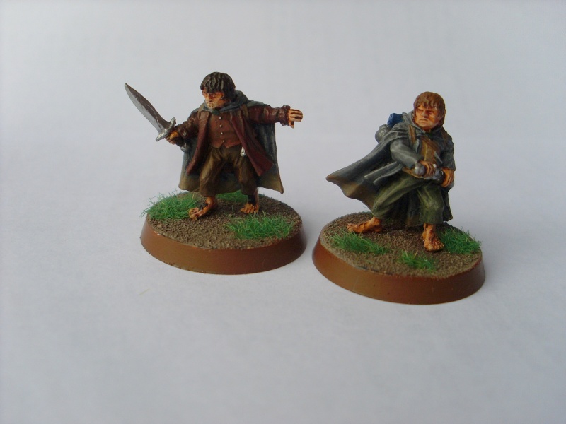 La Communauté de l'Anneau Sl376511