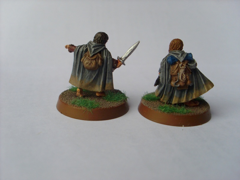 La Communauté de l'Anneau Sl376512