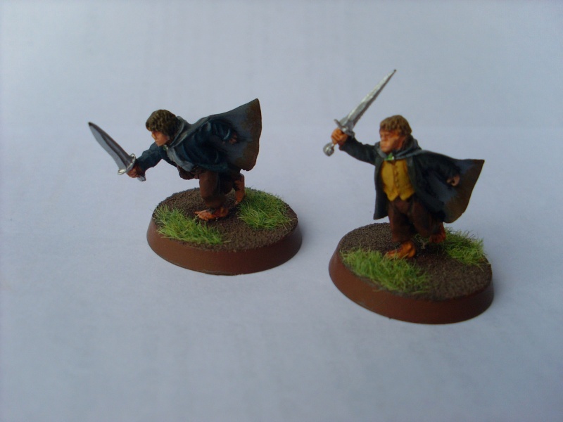 La Communauté de l'Anneau Sl376513