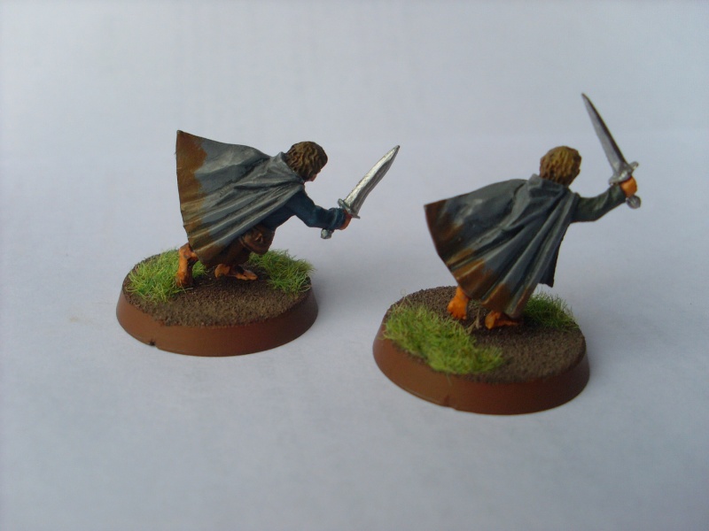 La Communauté de l'Anneau Sl376514