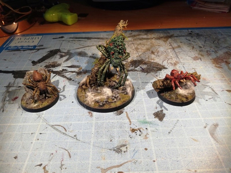 Concours de peinture SDA n°5: La fig dont vous êtes le héros - Page 5 Img_2054