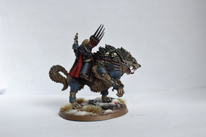 Galerie dadou91 - SM, GI, Ork - Page 7 Img_3216