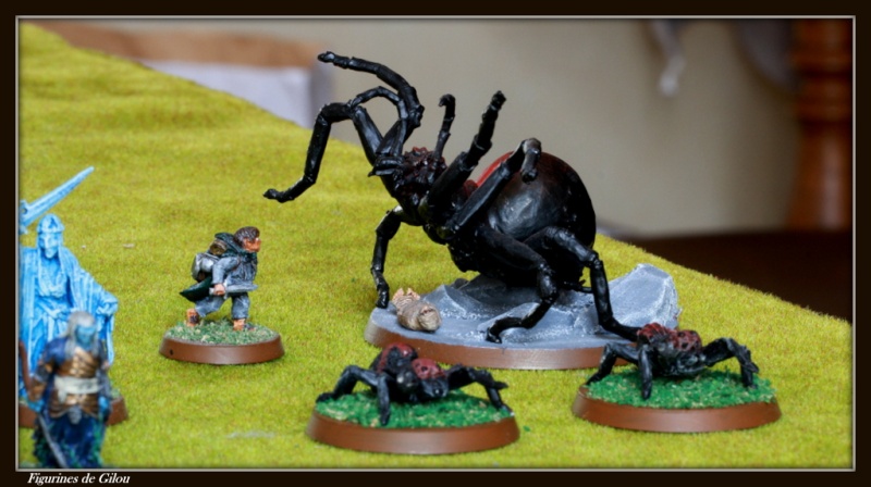 Galerie du Mordor Img_7675