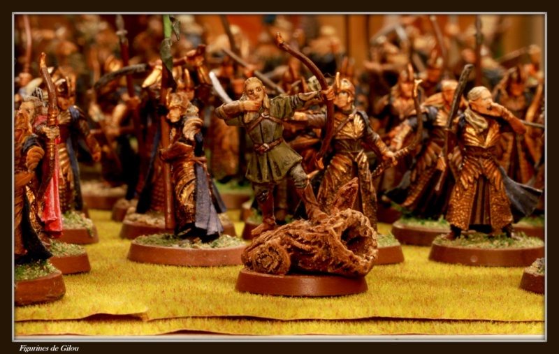 La Communauté de l'Anneau Img_7713