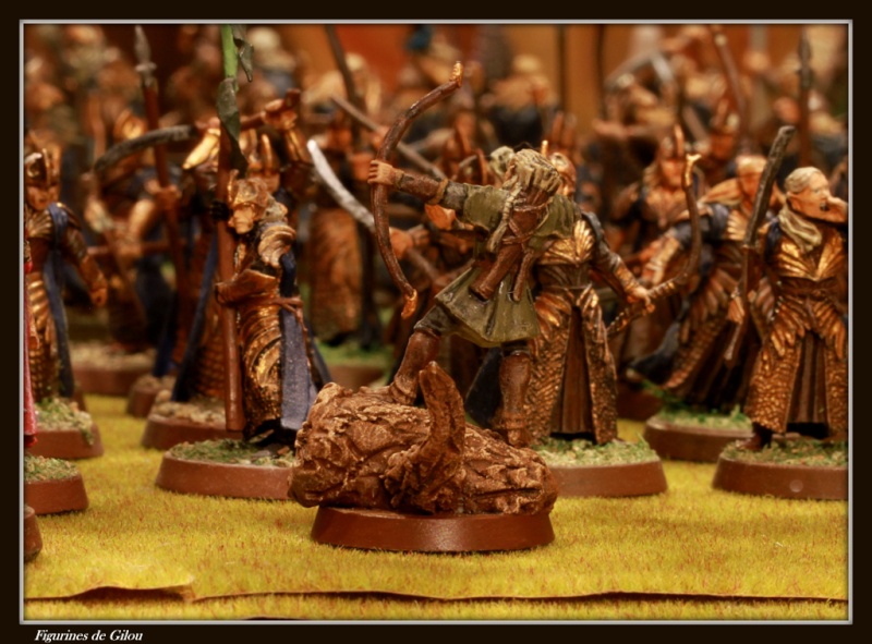 La Communauté de l'Anneau Img_7714