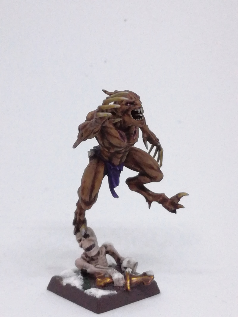 Mon armée des Comtes Vampires - Page 2 Img_2088